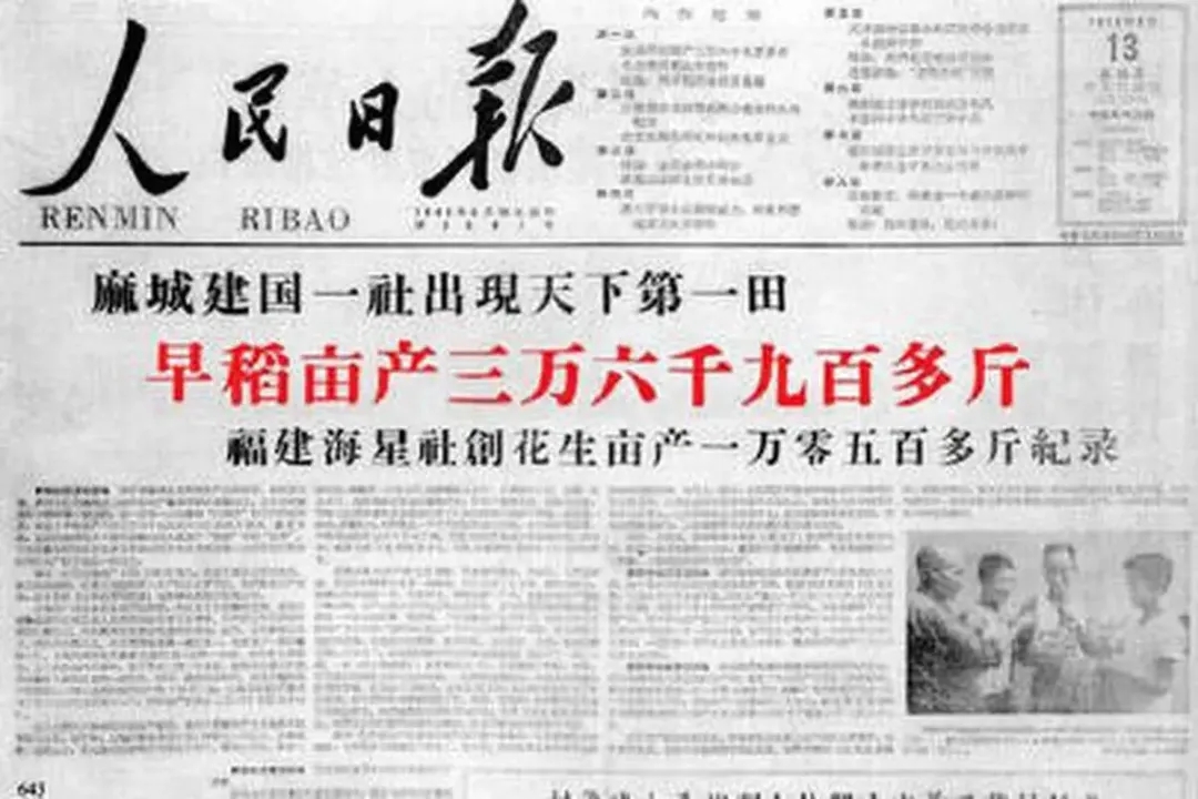 王金凤：我写“内参”，付出了惨重代价