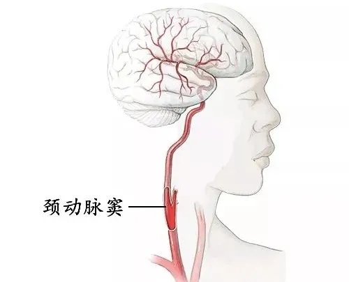 人的致命“七寸”，这地方不要乱碰！