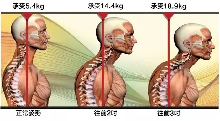 人的致命“七寸”，这地方不要乱碰！