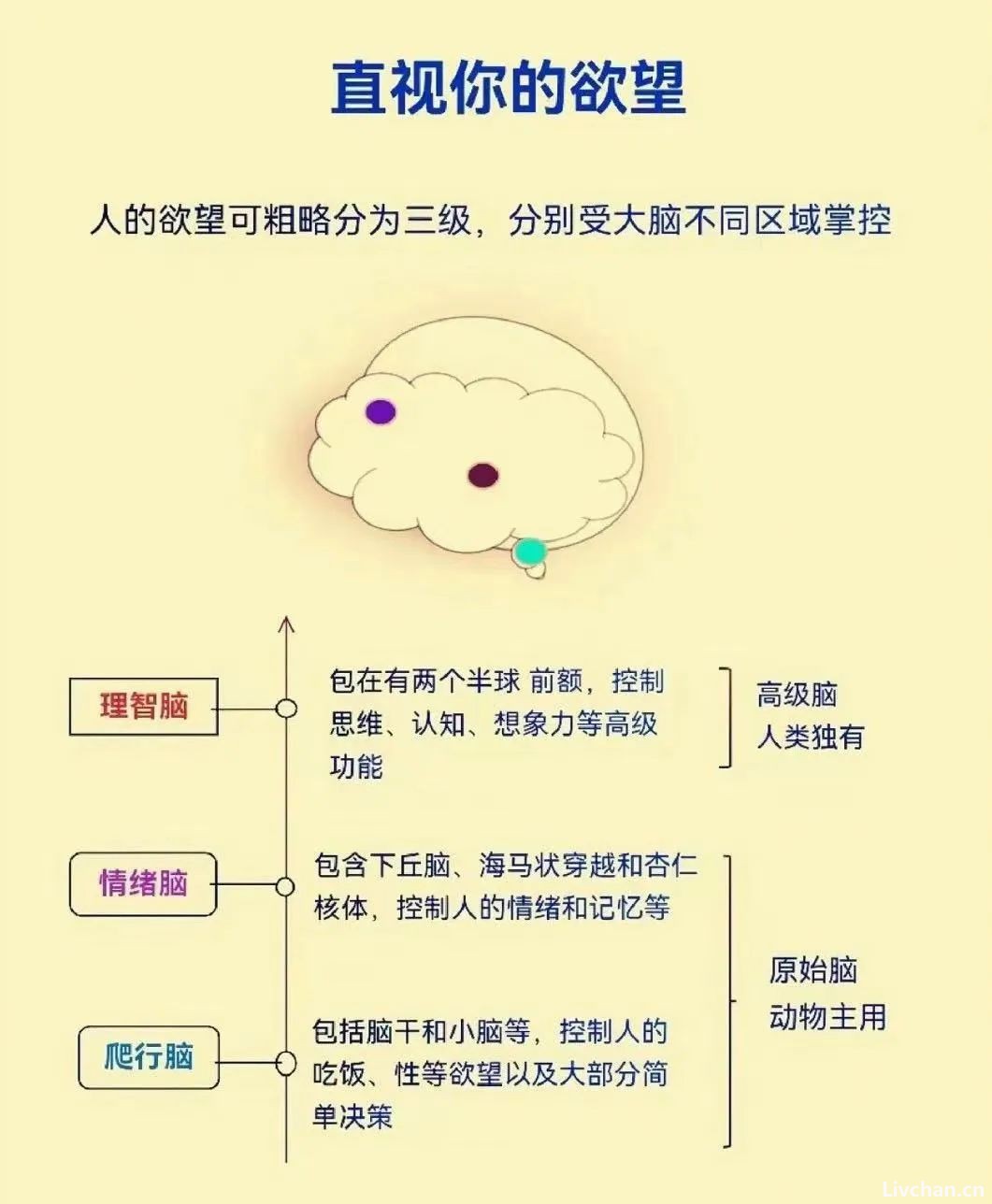 【三重境界】高级的欲望靠克制