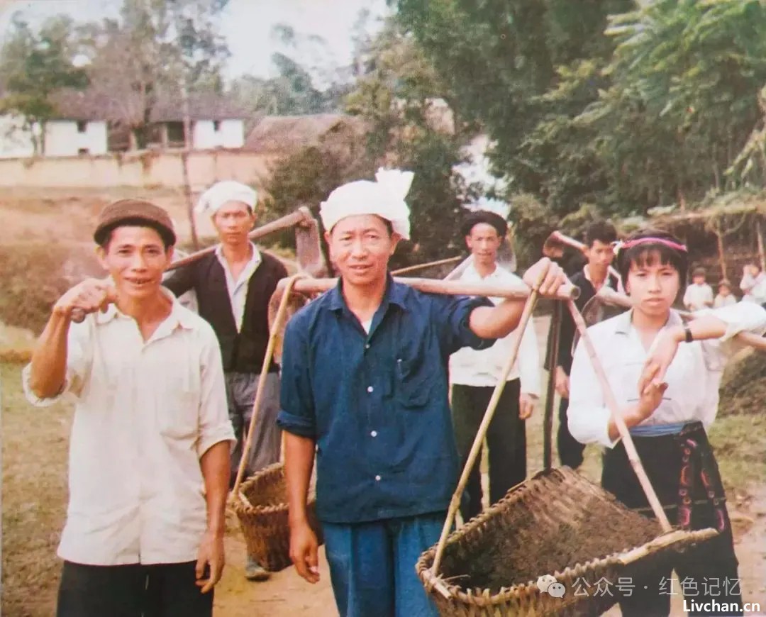 集体劳动出工不出力？看，这才是以前农村热火朝天的劳动场面