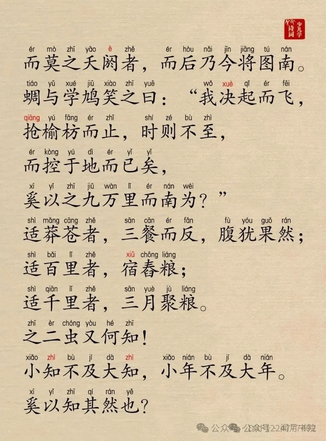 1738617943146710.webp