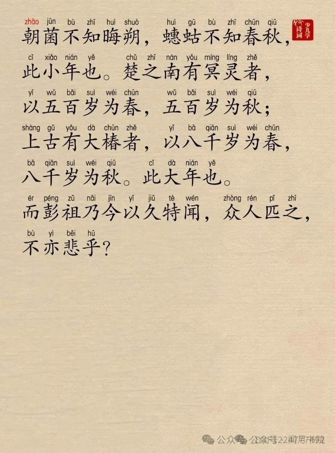 1738617944184207.webp