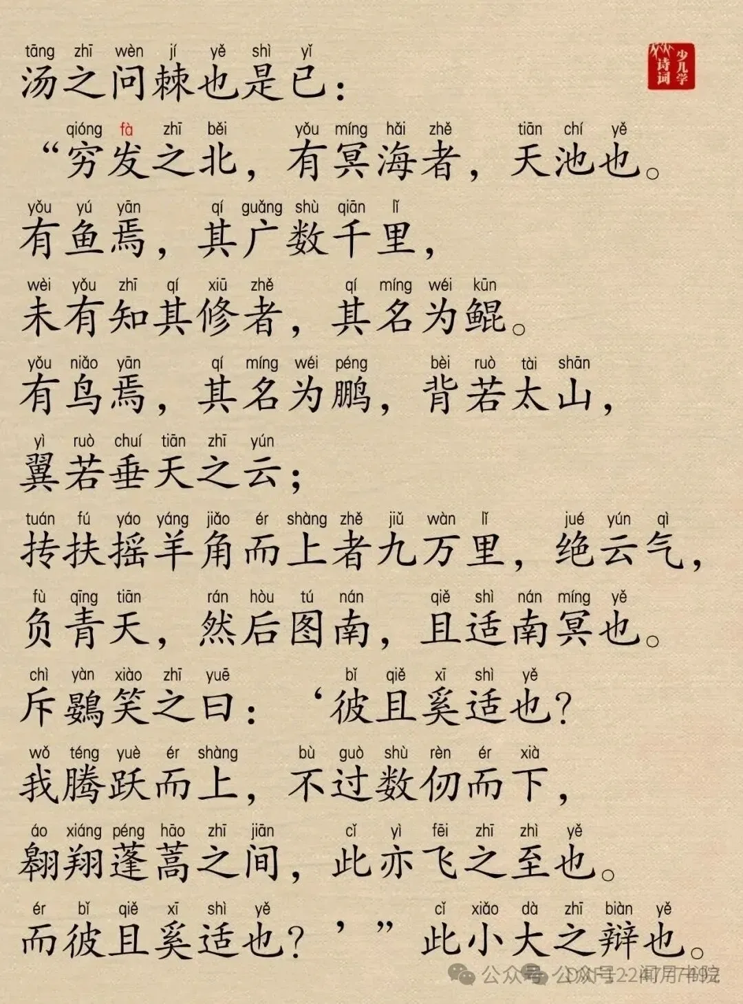 1738617944932608.webp