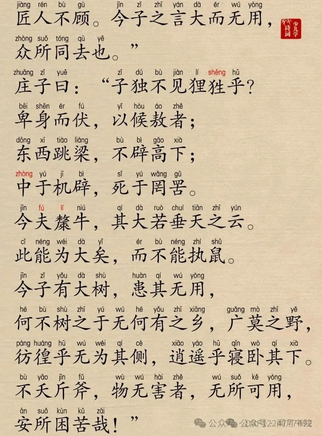 1738617946206521.webp