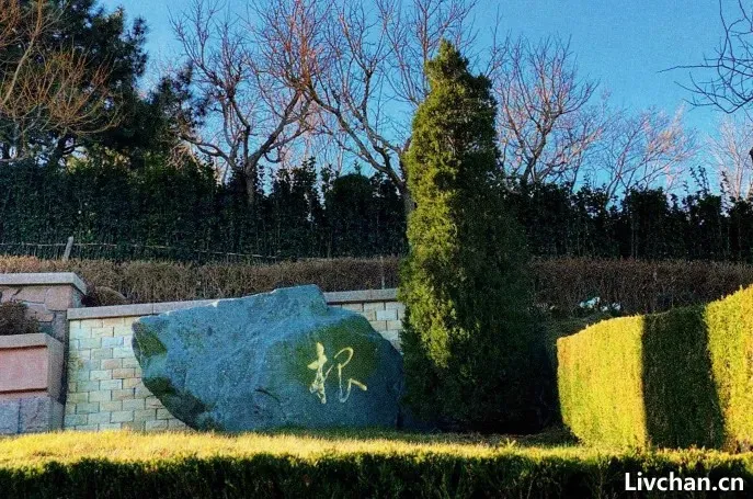 关于康生,你一定不知道的几件事 关于康生,你一定不知道的几件事