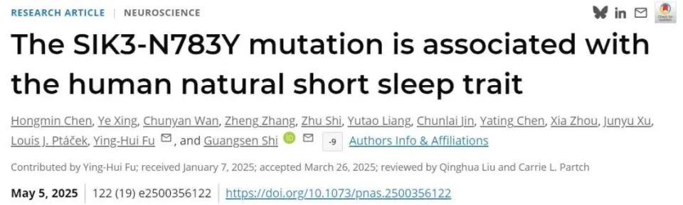每晚只睡4小时却精力充沛，新研究发现了一个“高效睡眠”的秘密