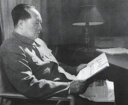 汪东兴回忆101为什么想当国家主席