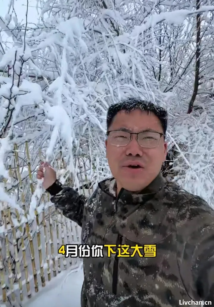 东北人，太禁欲了