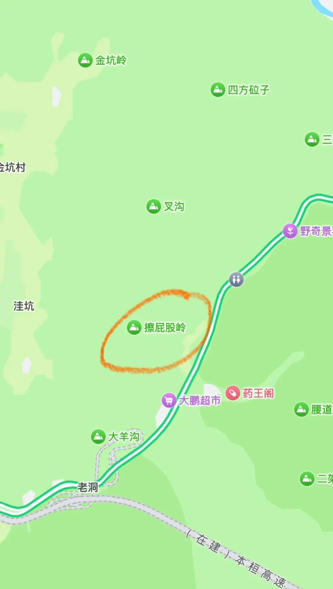 东北人，太禁欲了
