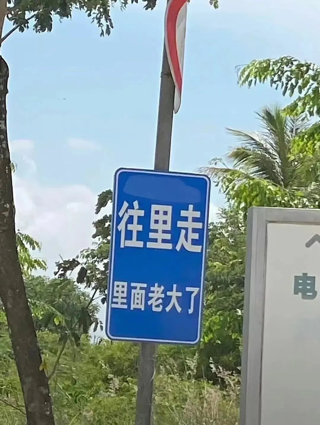 东北人，太禁欲了