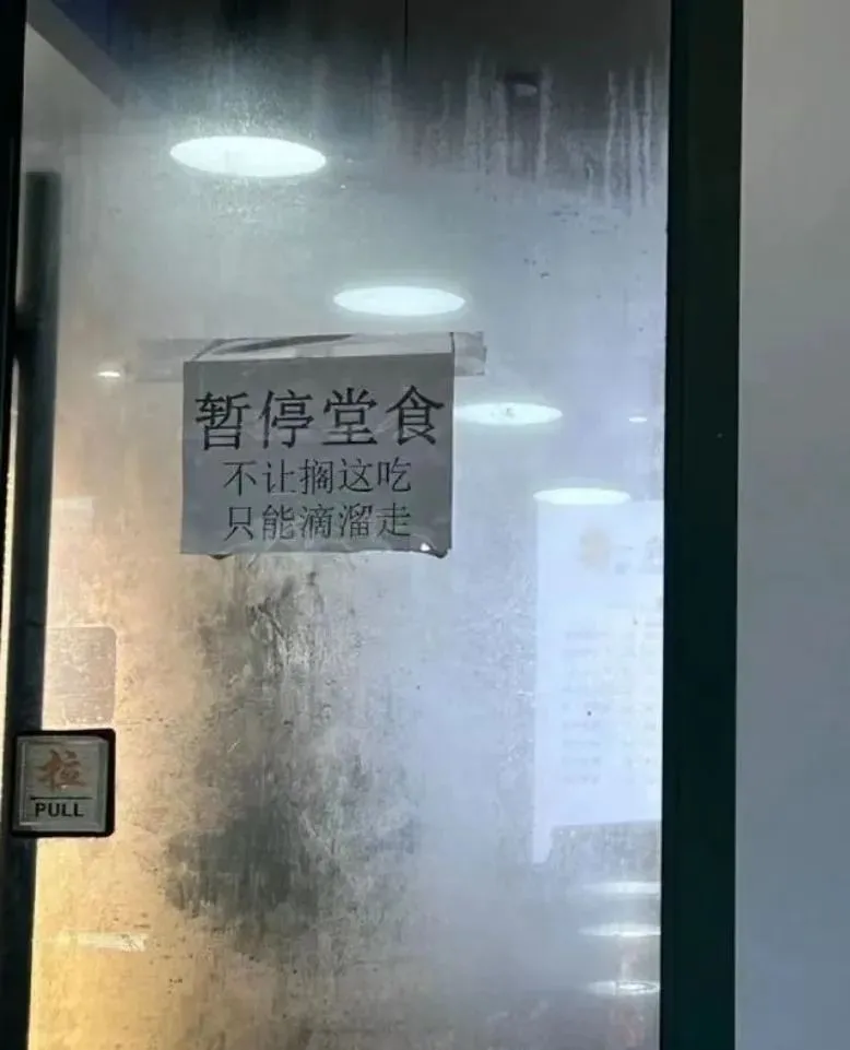 东北人，太禁欲了