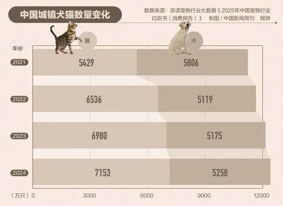 170多人报案：高价买的宠物，7天就死
