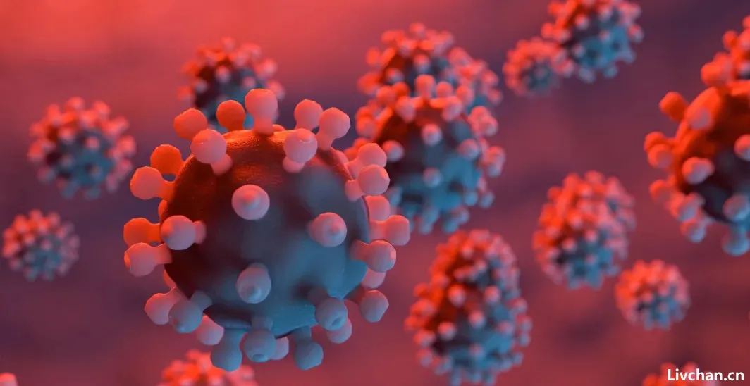 只差一场席卷全球的金融风暴了,病毒也算准了时间