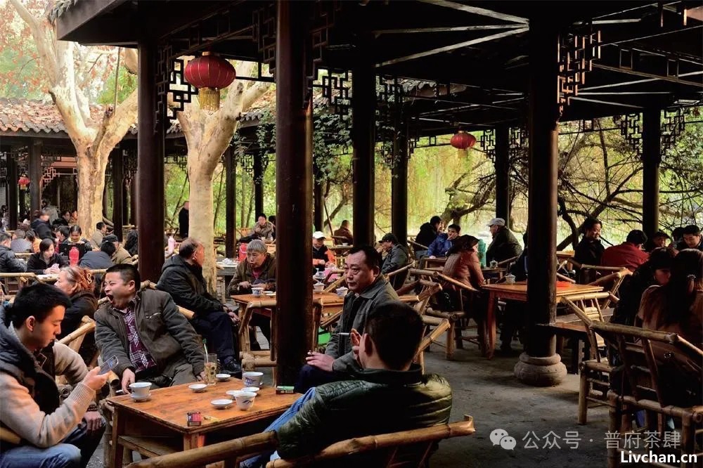 喝茶就喝茶，哪来那么多“妖魔鬼怪”？