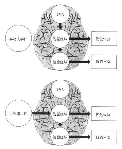 第四部分　未来的幸福-第六章　未来的现实枷锁