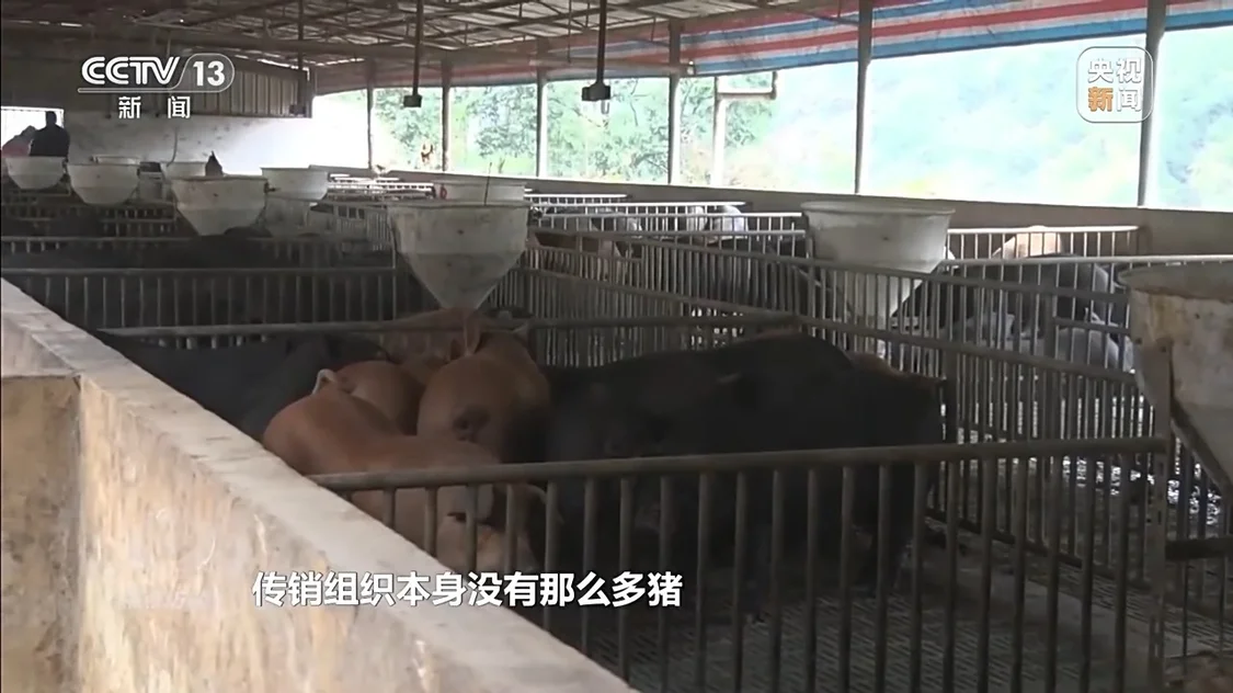 已有数万人被骗，起底“云养殖”里的骗局