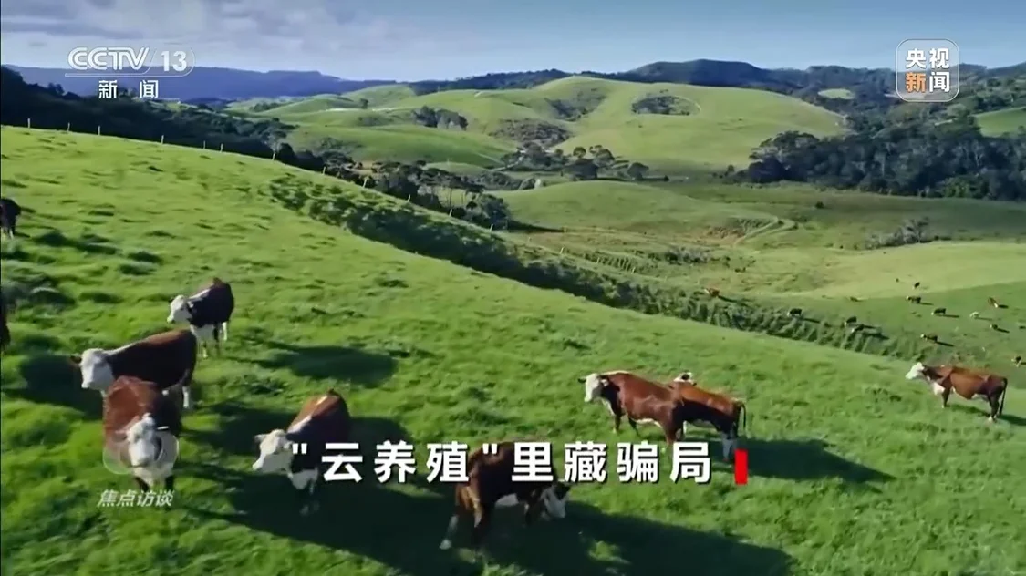 已有数万人被骗，起底“云养殖”里的骗局