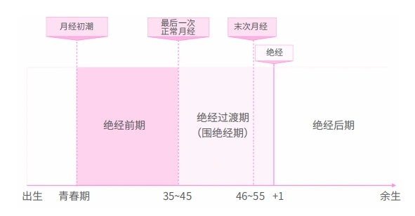1.3亿中国女性正面临更年期的困惑