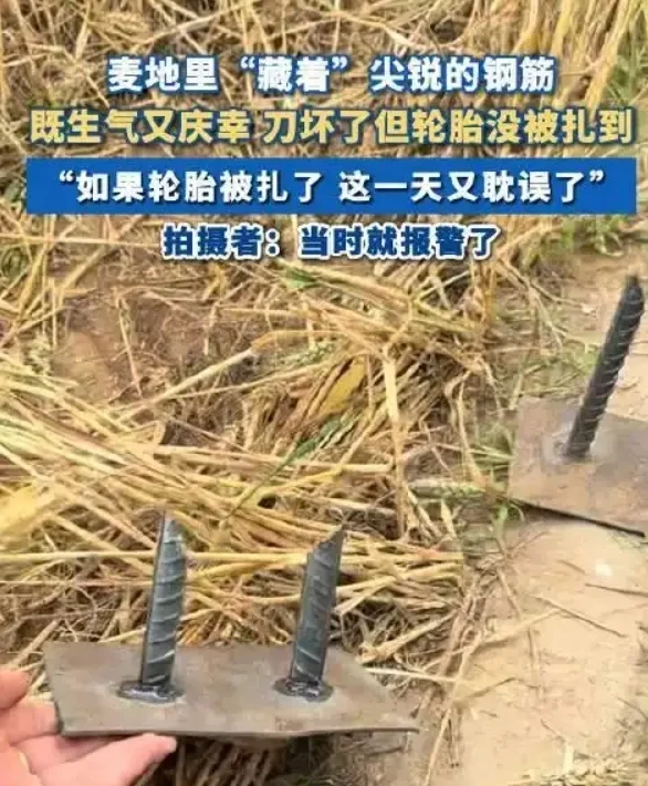 2025年6月网事实录