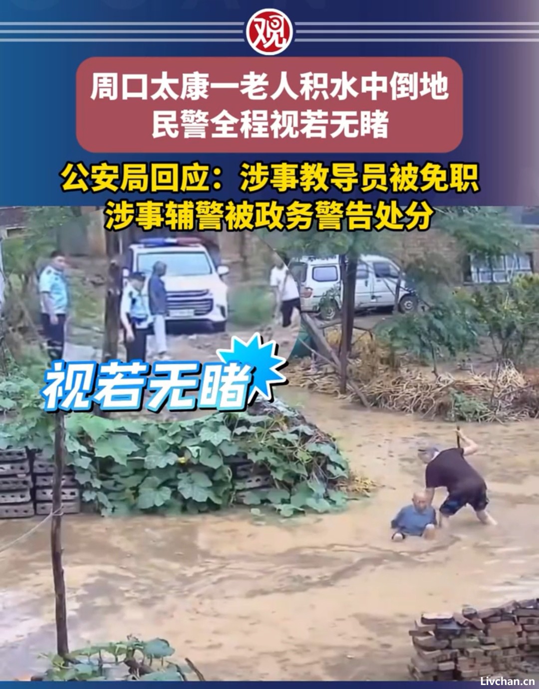 2025年6月网事实录