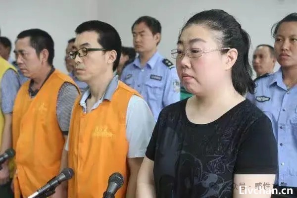 “骗官书记”王亚丽，靠身份造假升任石家庄团委书记