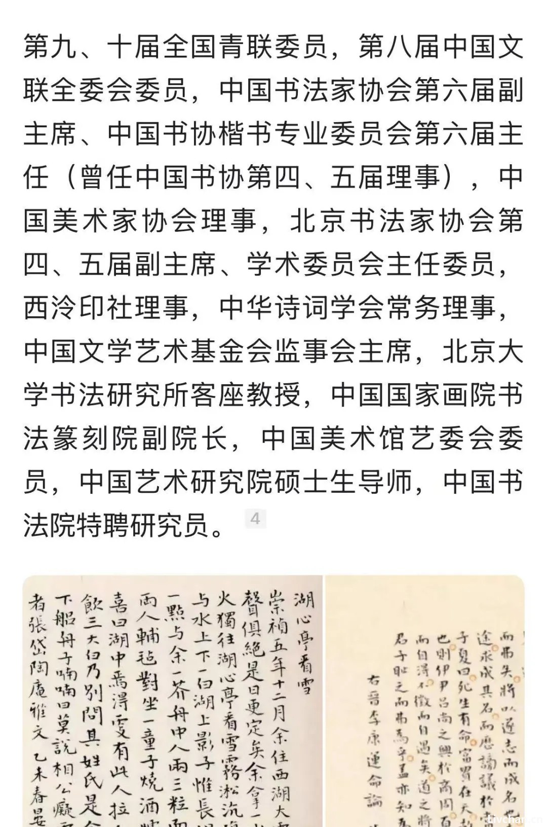 王家新跨界的争议：权力通吃还是术业专攻？