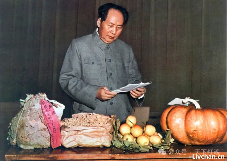 被误读的十年:我们真的读懂了毛主席的晚年吗?